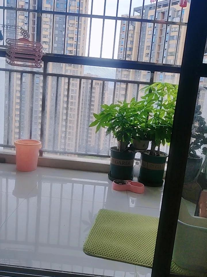 秋日生活打卡季