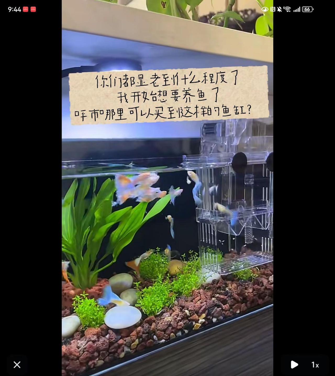 呼市哪里可以买到这样的鱼缸呀？