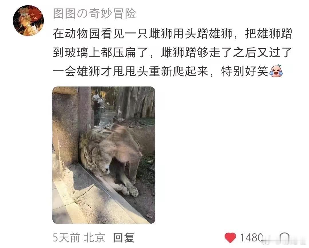 产概念 ​​​
