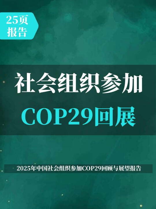 2025年COP29回顾与展望