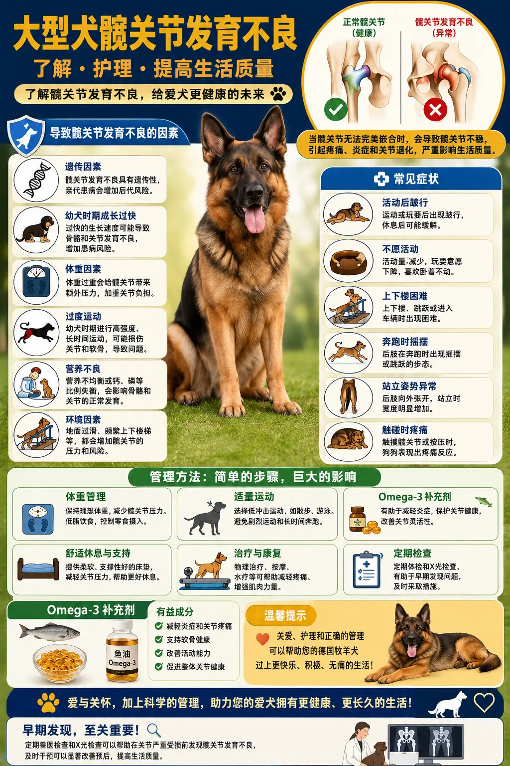 当髋关节无法与髋臼完美嵌合时，会引发疼痛。髋关节发育不良是德国牧羊犬等...