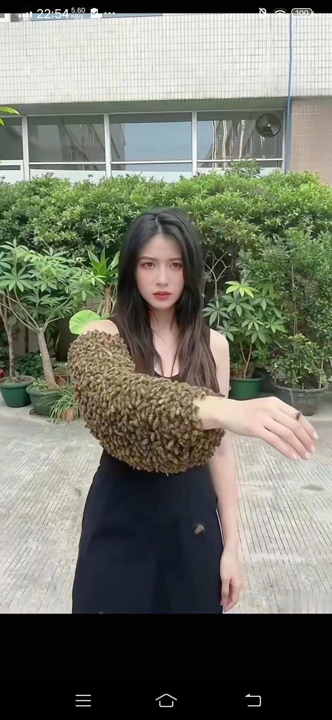 这是哪来的蜜蜂？怎么会落到女孩的手臂上？这个是自家养的蜂，还是山上的野蜂？怎么不
