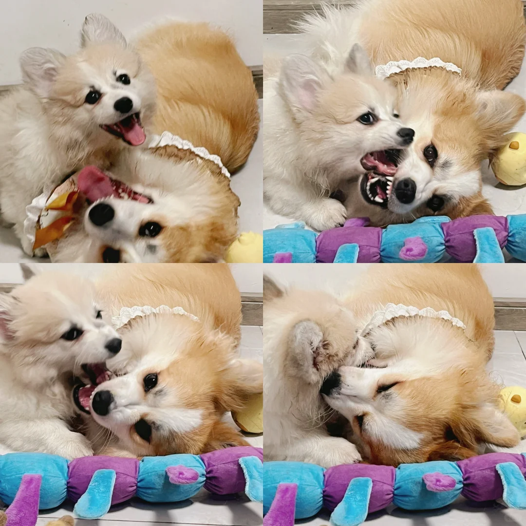 两基的快乐