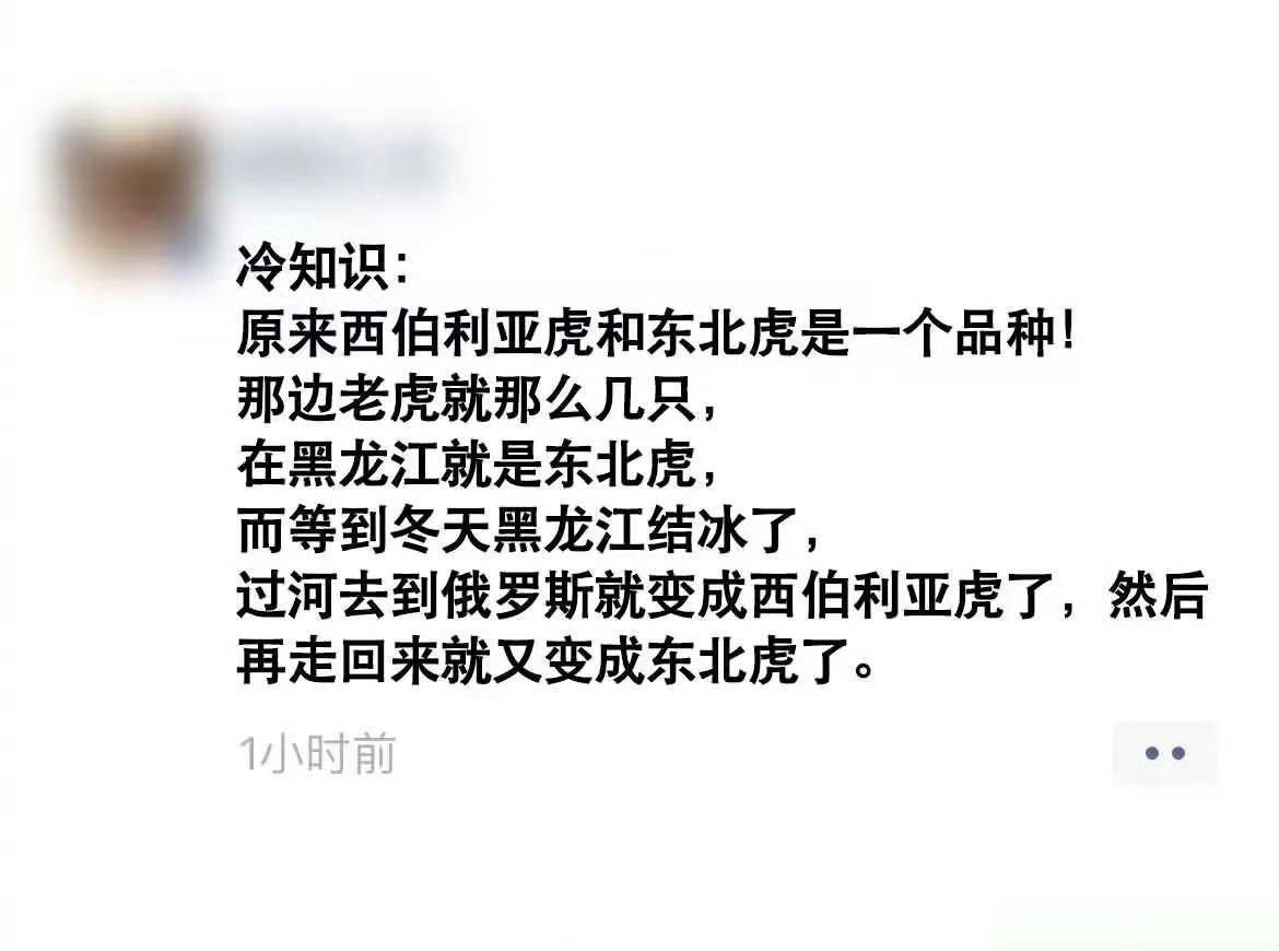 好你个东北虎，还给自己搞了一个双重国籍 ​​​