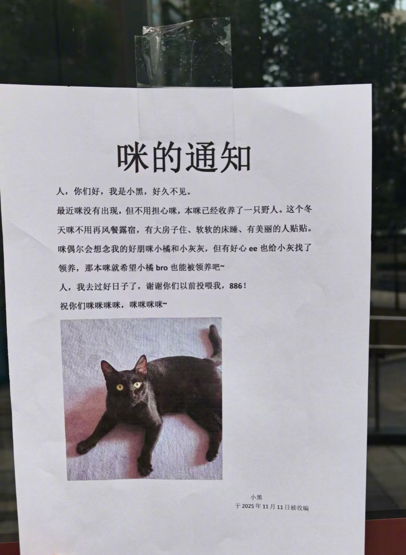 你有一则来自咪的通知请查收 