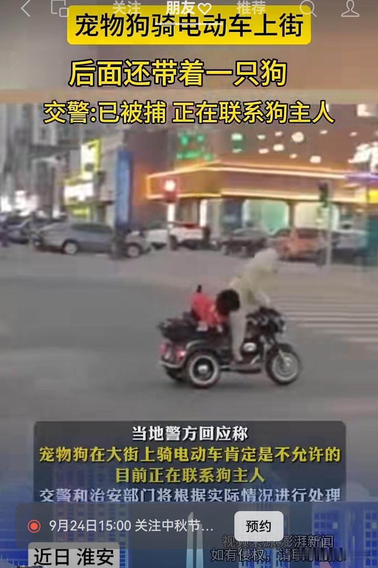 淮安：宠物狗骑电动车上街！还带着一只狗[我想静静]