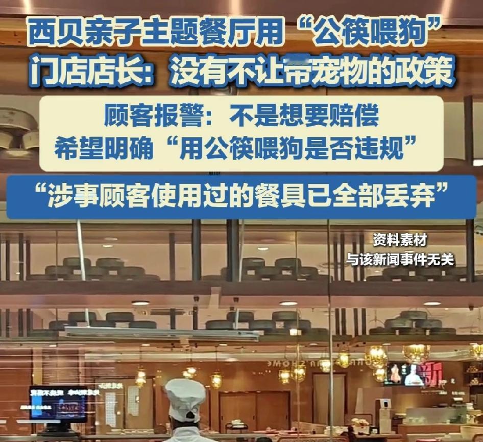 西贝餐厅用“公筷喂狗”，顾客怒了！

男子带着孩子去西贝一家亲子餐厅用餐，无意间