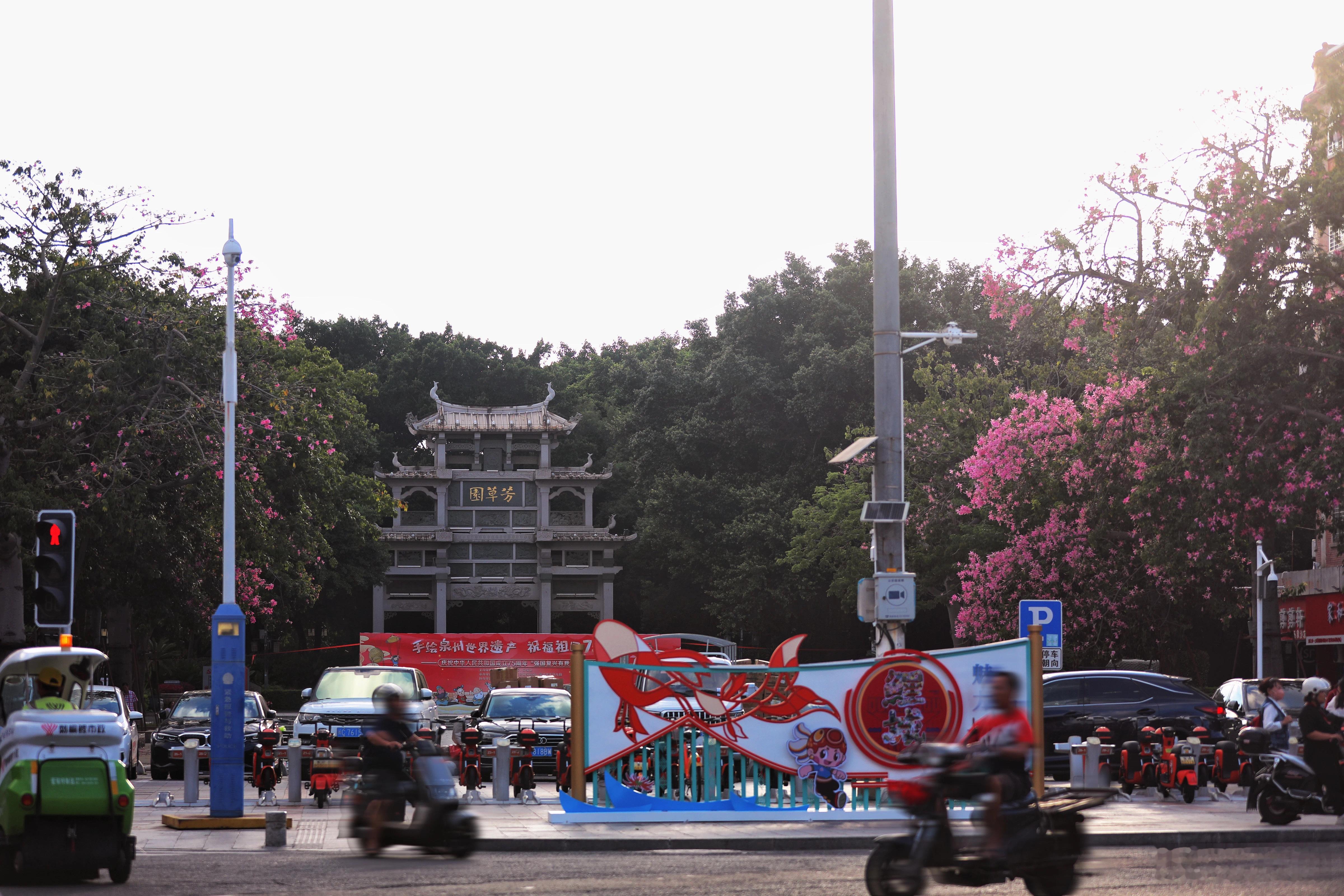 #福建一古城新增2处打卡地标#而在粉色异木棉盛放的芳草园，另一座夜景亮化装置也惊