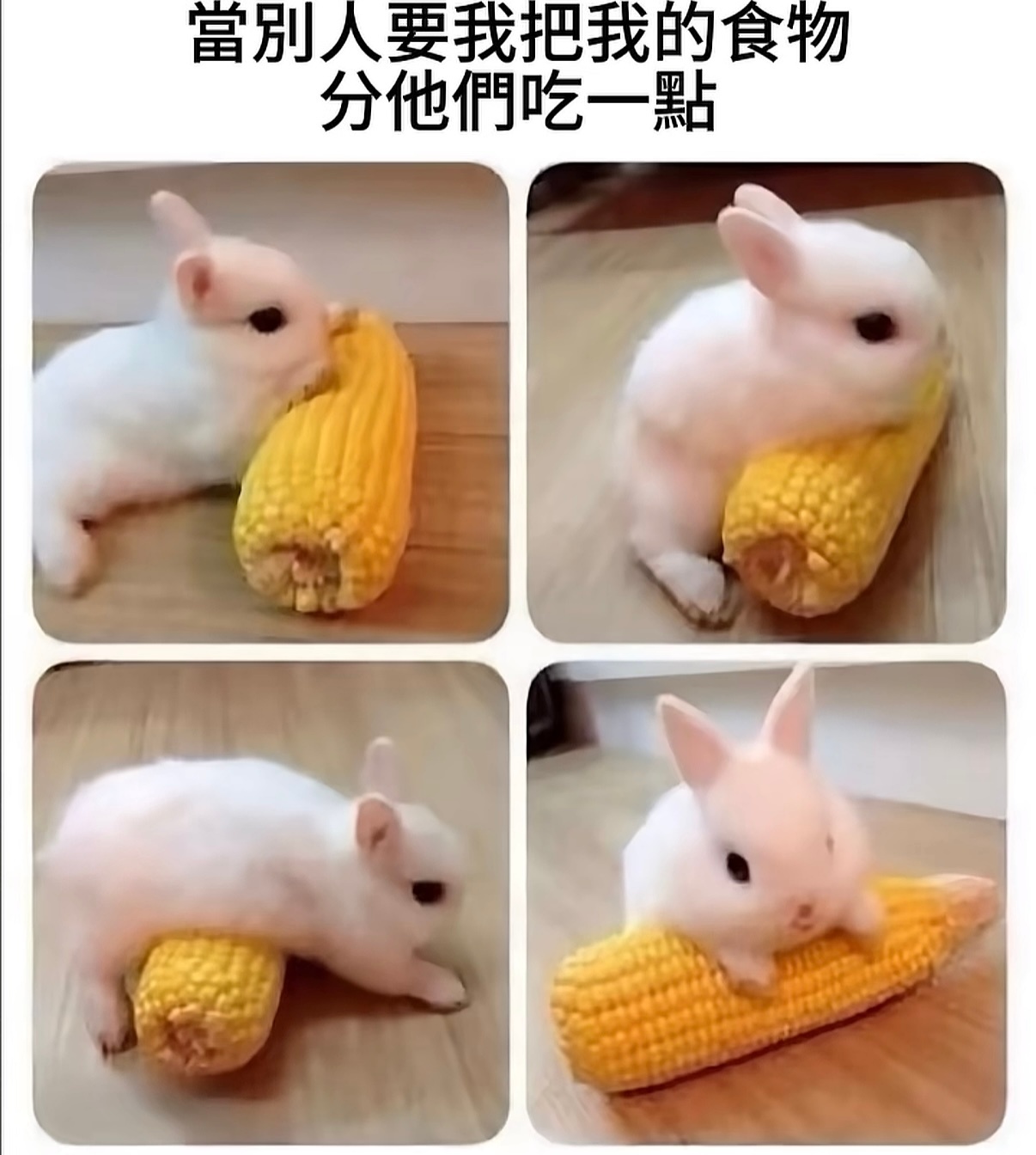 每日代果积累 
