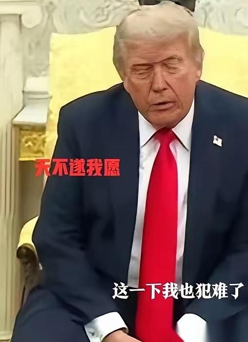 绝了！一句“中国人民太强大”，道破了最硬核的真相

一句“中国人民太强大，我无能