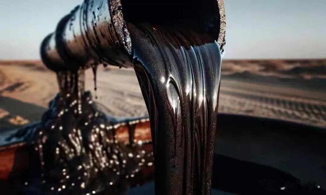 12月23日，在委内瑞拉的请求下，联合国紧急召开会议。会上美国代表几乎没有任何掩