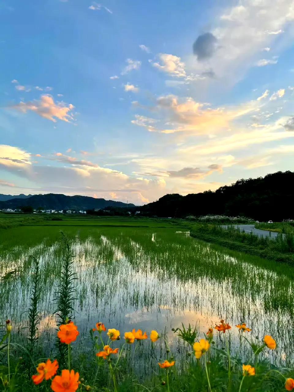 目前来看，台湾回归已经进入倒计时，包括前段时间我们055澳大利亚开炮，那就是中美