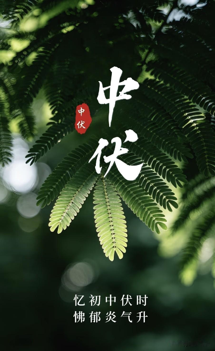 早中伏凉飕飕，晚中伏火烧秋！明日中伏是早还是晚？还要热多久
 
民间老话常说“热