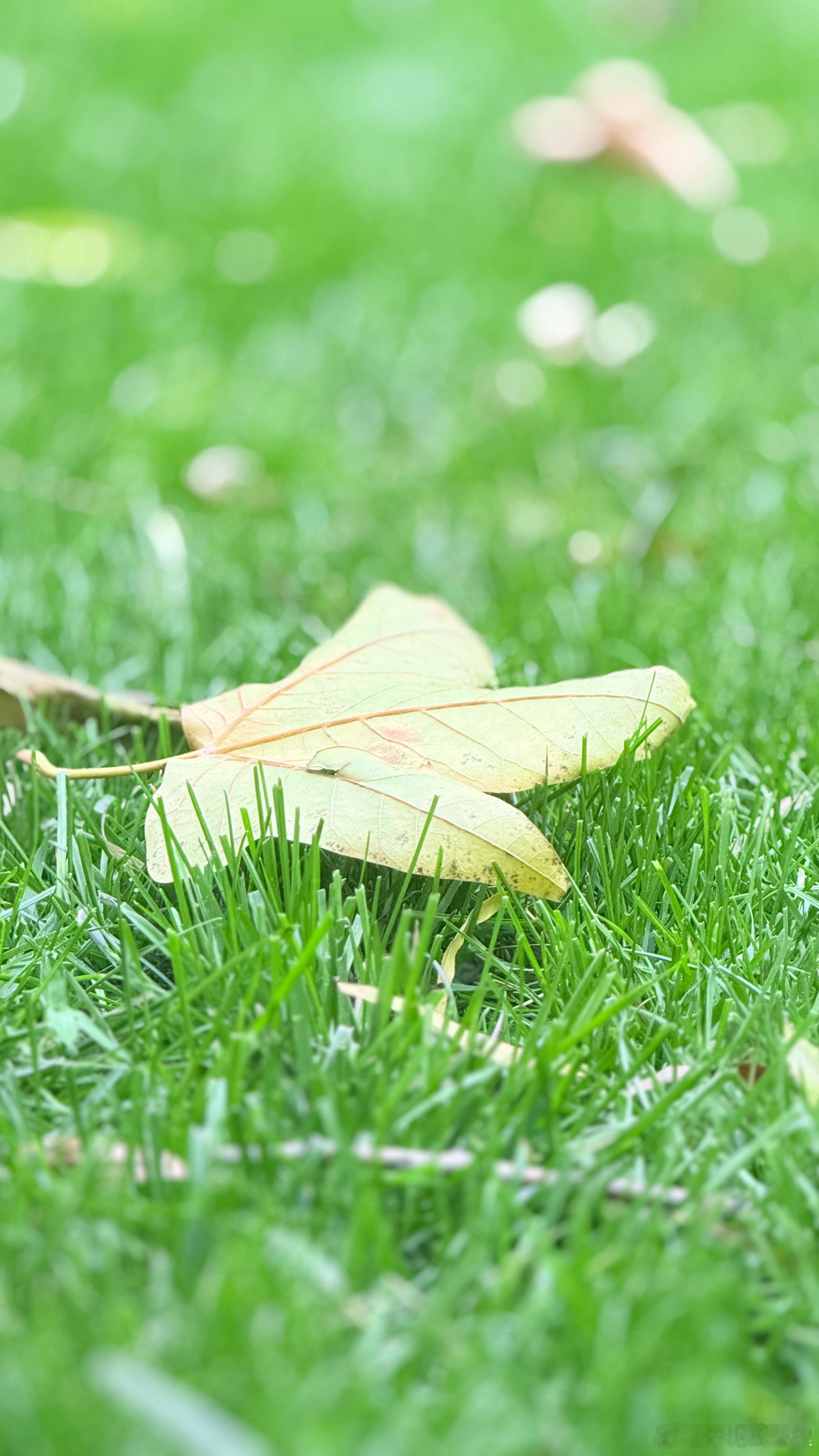 路与他人各不同，不必听风就动容 