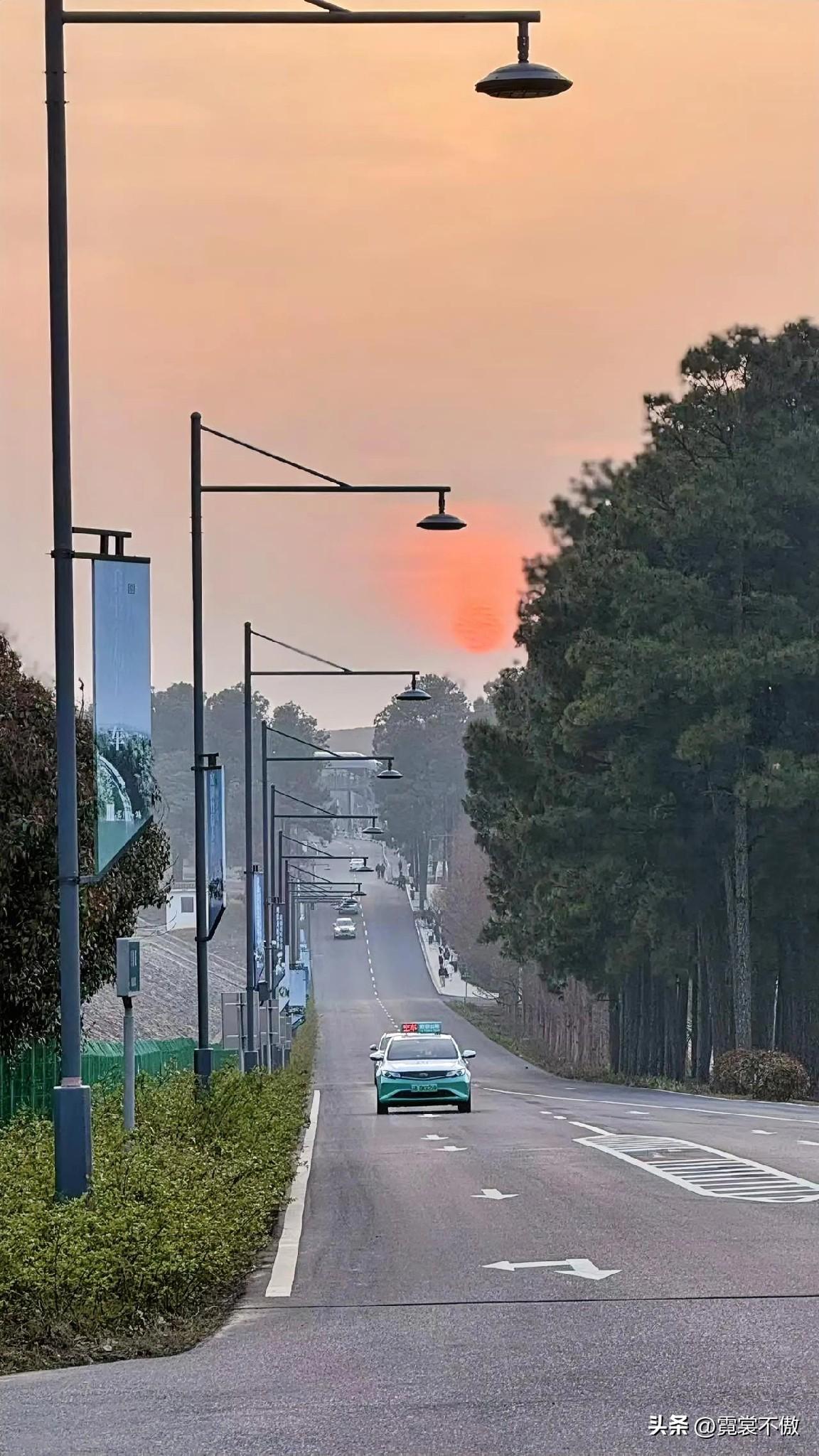 火红太阳躺树梢