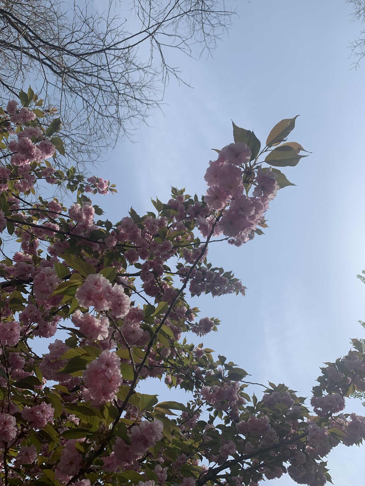 今天中午正睡午觉呢，突然被手机铃声惊醒，是一个陌生的手机号。
迷迷糊糊接通了，听