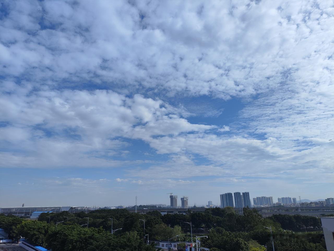 早上出门，天高云淡，鸟语花香，元气满满。
阳光穿过微冷的空气，晒在脸上，暖暖的。