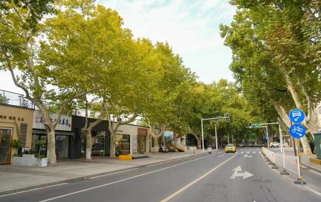 江边路环境整治已近尾声，串联江景与工业记忆；华新路改造全面完工，守护社区烟火与日