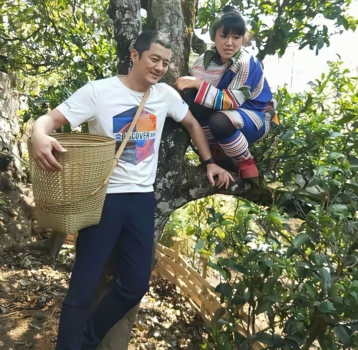 这是2018年春天 ，李亚鹏在云南临沧冰岛采摘普洱茶时与当地采茶少女的合影，原来