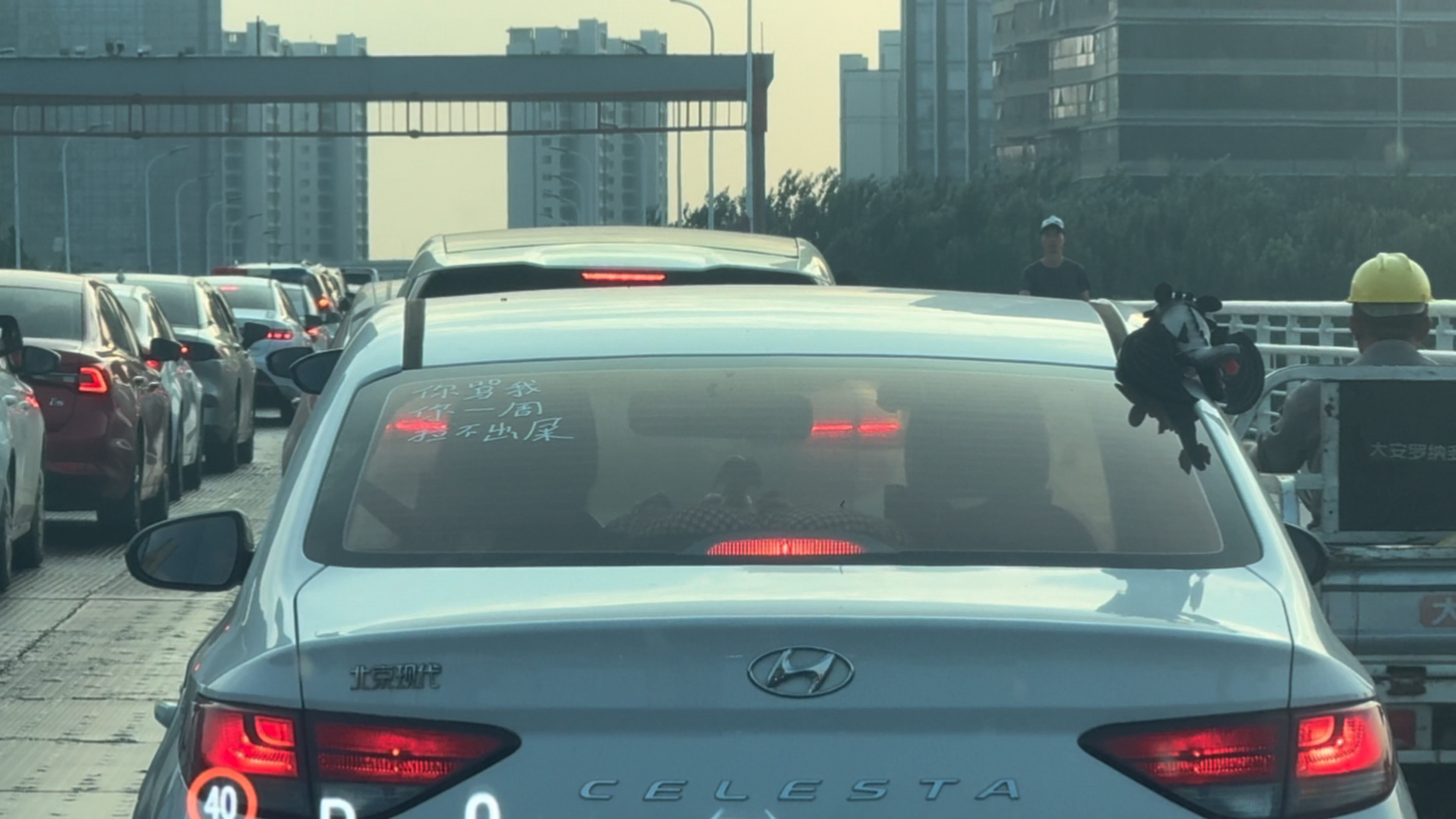 给我笑吐了，此人好歹毒，哈哈哈哈哈 