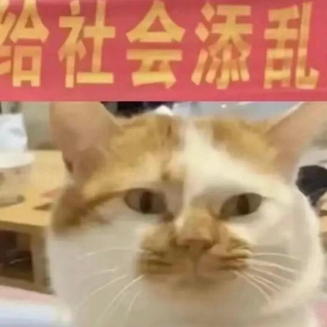 无敌好用沙雕聊天表情包 ​​​