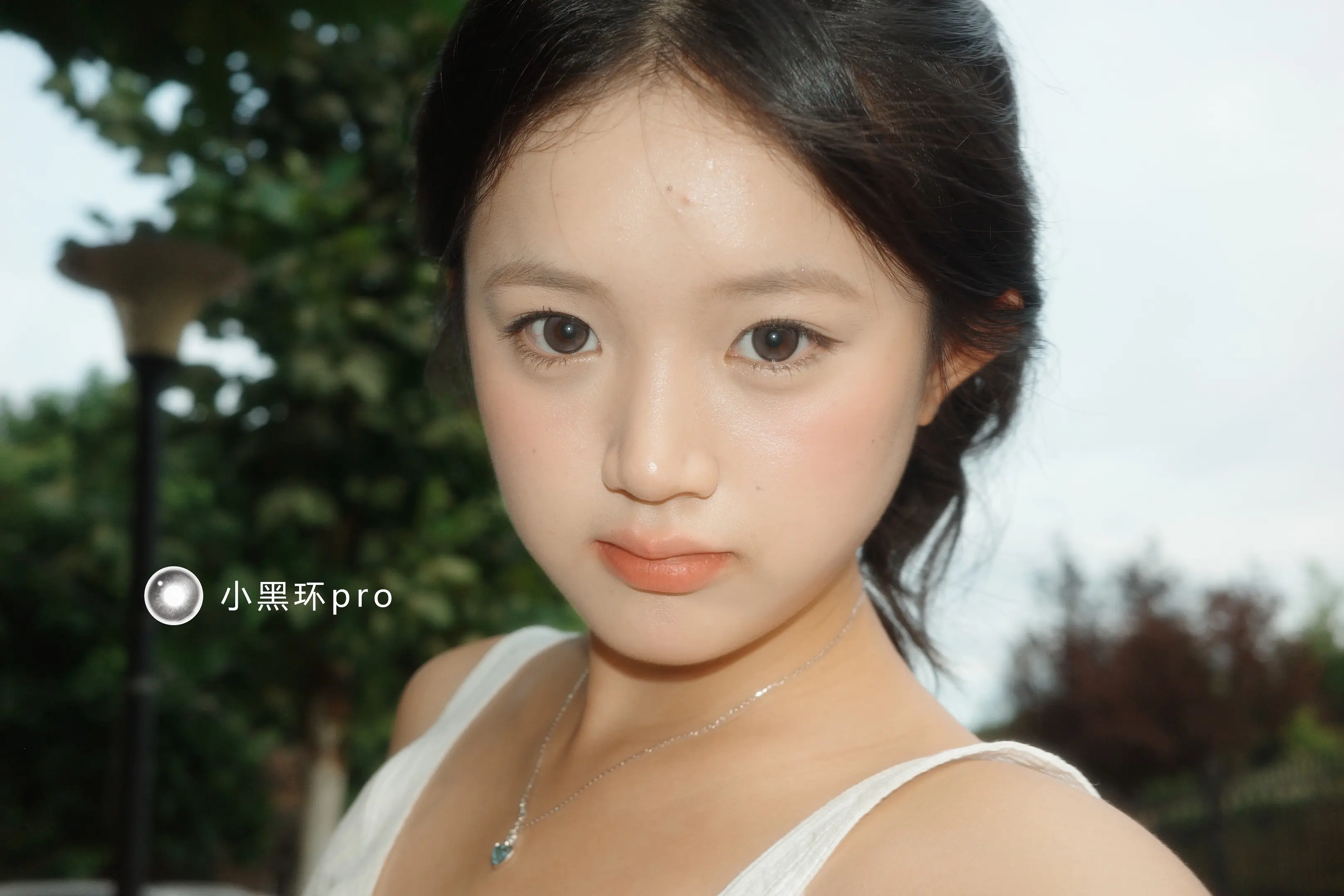 小小挖掘官