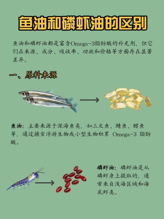 鱼油VS磷虾油｜一篇看懂Omega-3最佳补剂