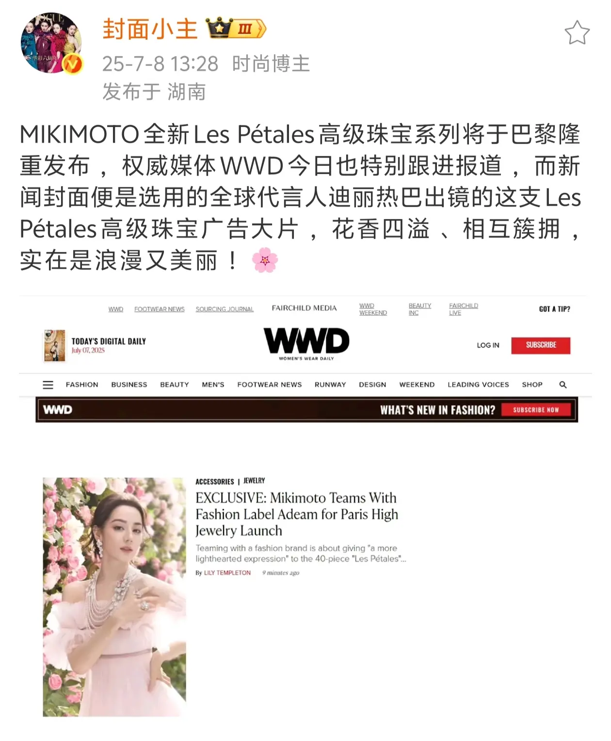权威这一块😄