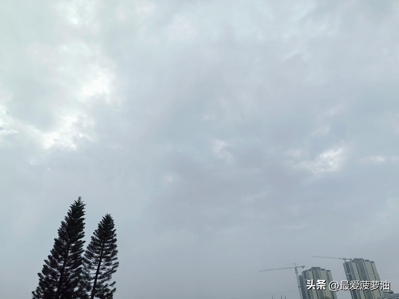 广东：再等一天，明天太阳回归！

5～7日，广东有弱冷空气补充，云量明显减少，日