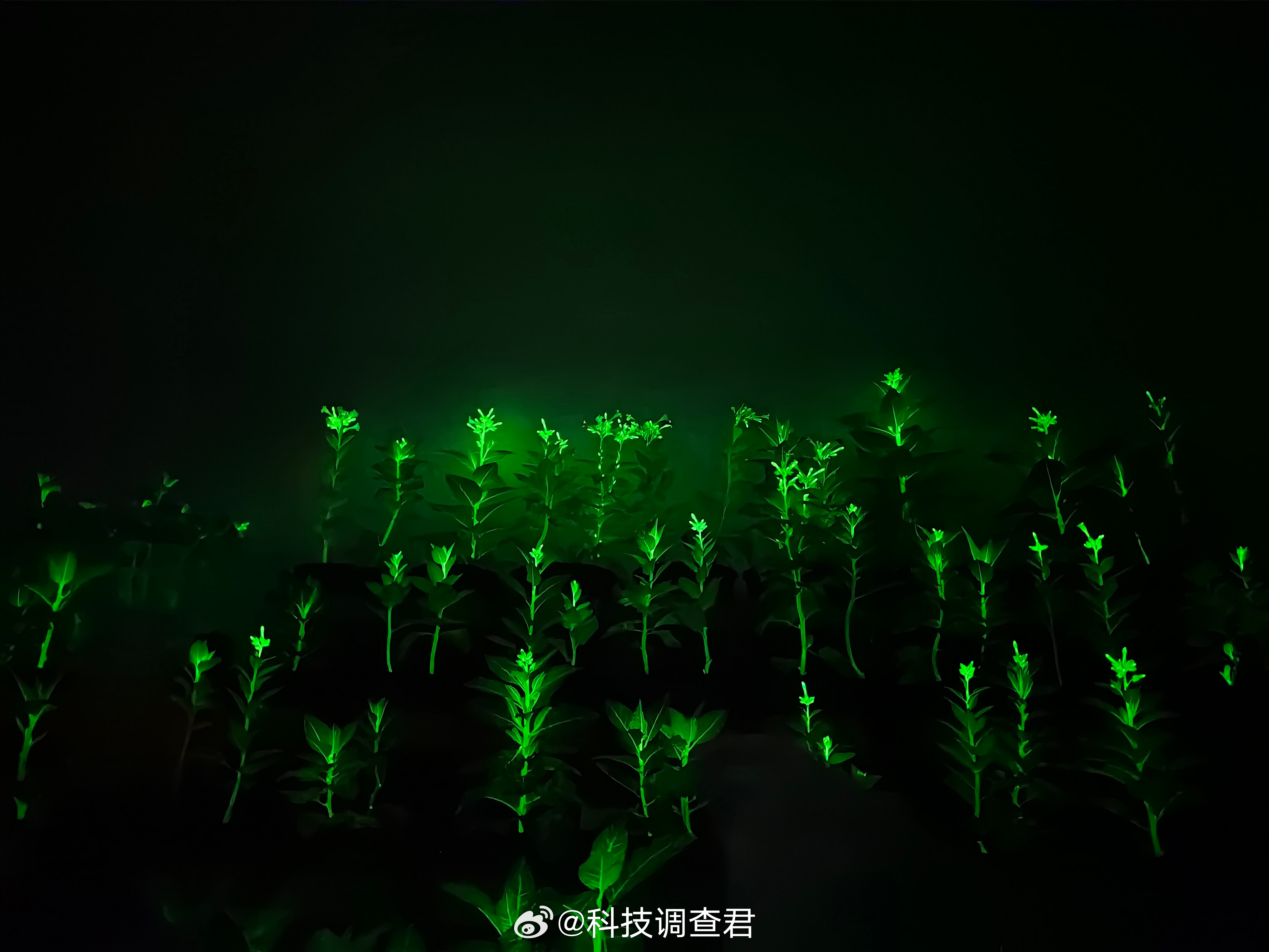 大家有没有想过，将来有一天，你吃饭、穿衣、出门这些事，都不用自己动手，全交给机器