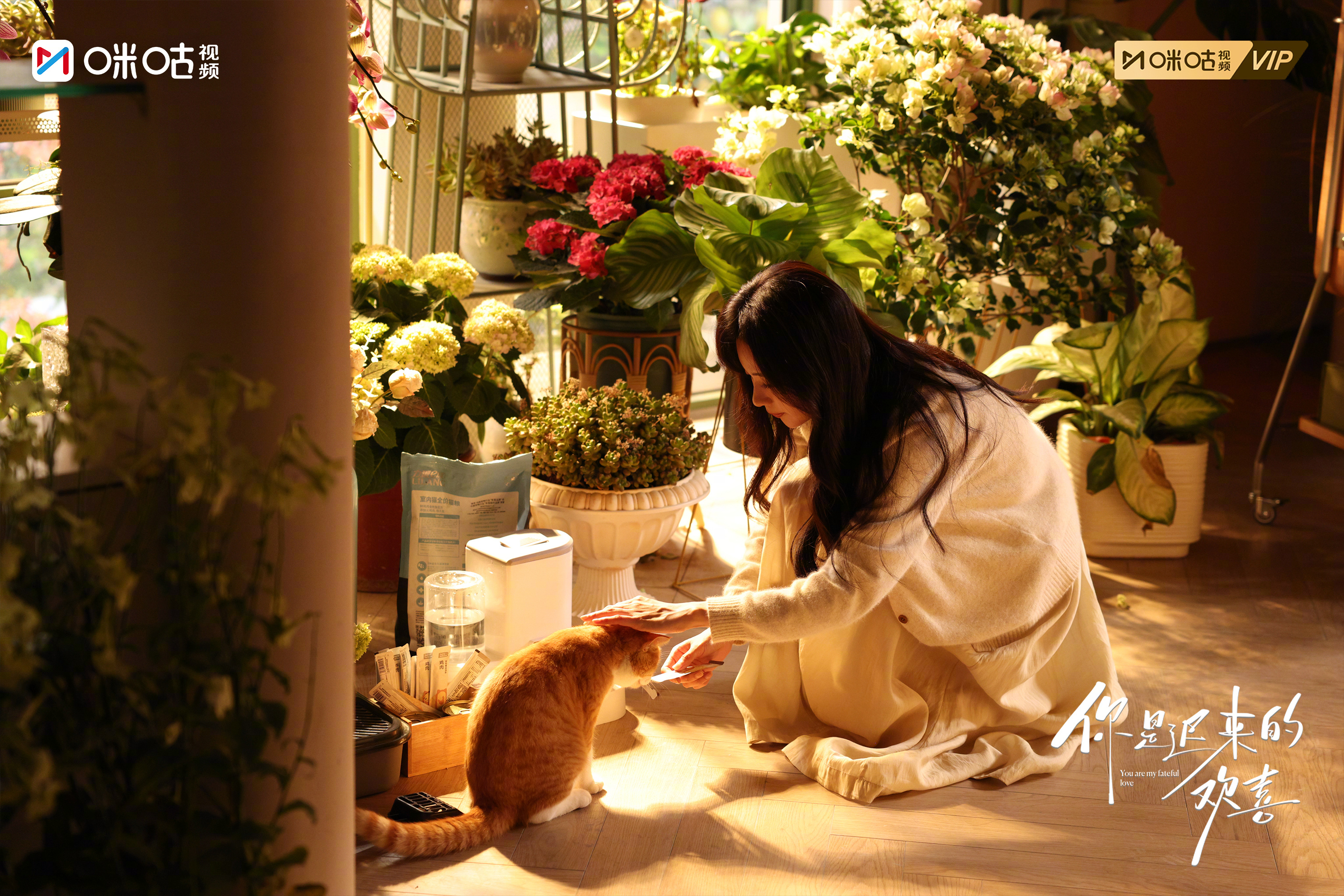 #上咪咕看你是迟来的欢喜##你是迟来的欢喜大结局# 夜色拉长世界，和你一起会放慢