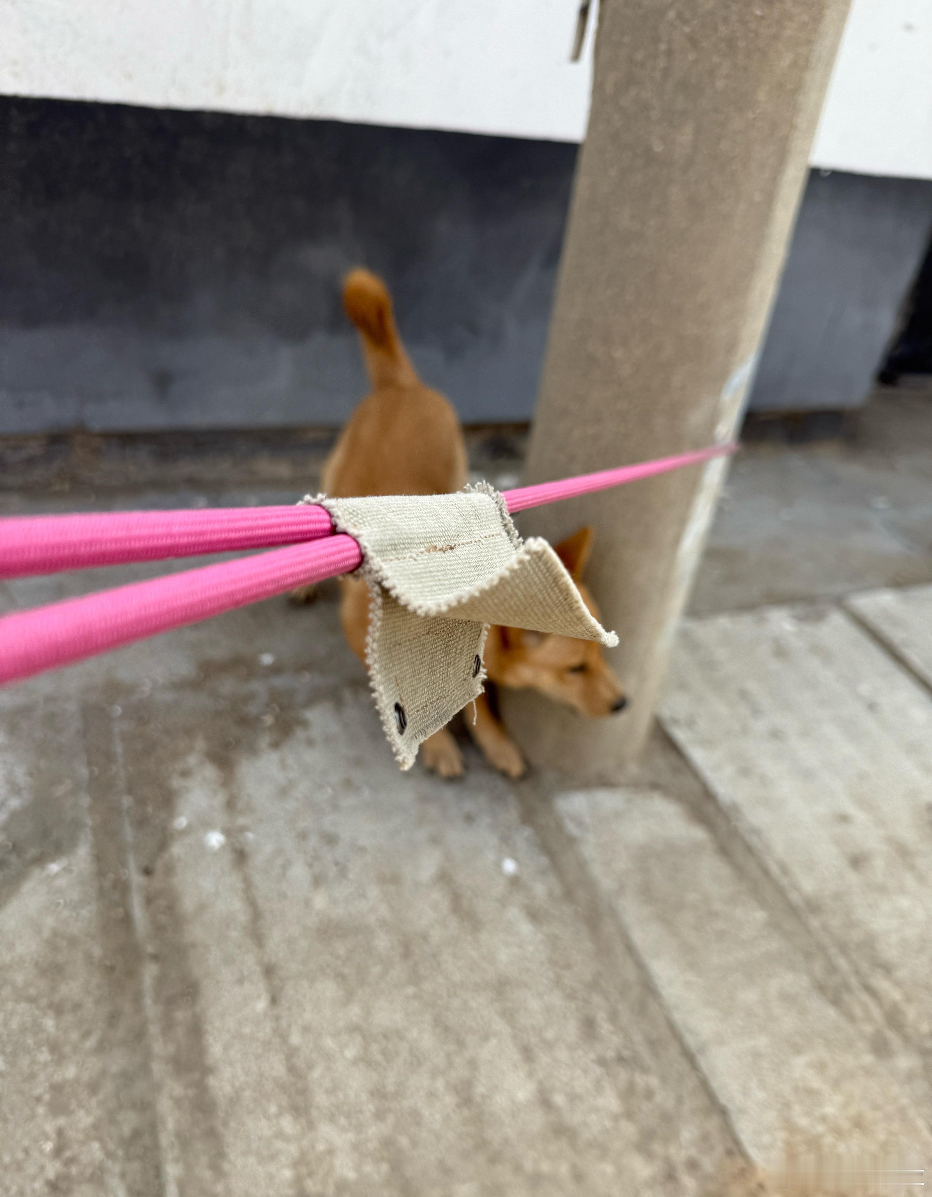 行啊！犟…看谁犟得过谁 
