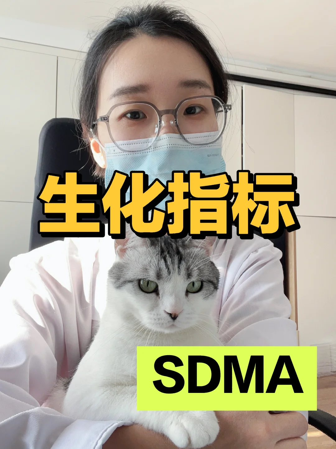 犬猫肾脏指标：SDMA—对称性二甲基精氨酸