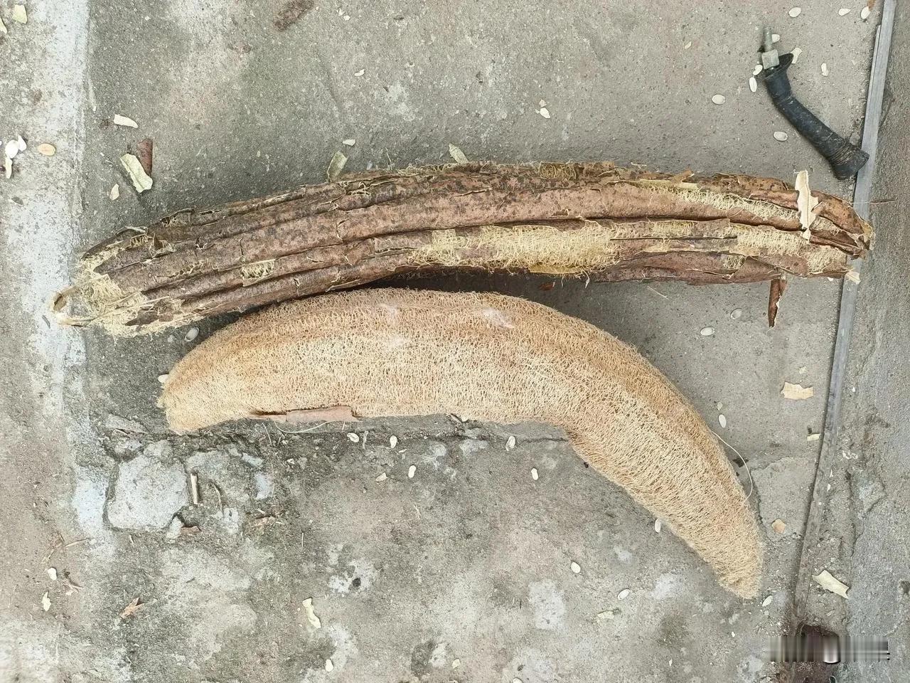 真是的，现在用这个不会被人笑掉大牙吗？[捂脸]
回老家了，又在婆婆家带青菜了，带