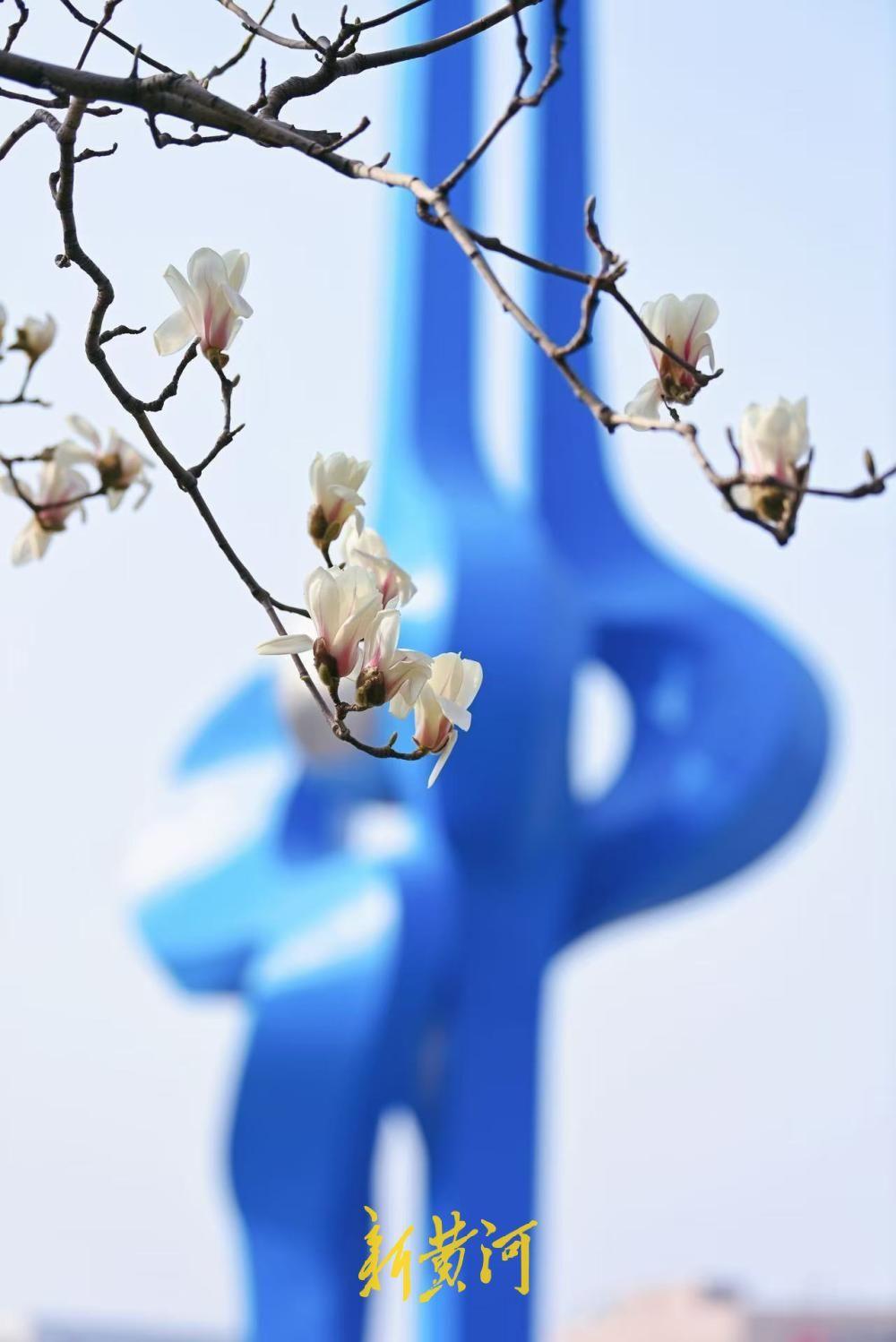 济南明天（12日）晴天在线，最高气温在14℃，午间天气舒适，适宜户外活动，不过昼