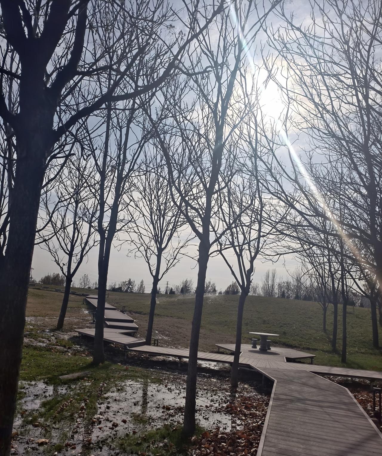 内资银行股的“债转股循环”：保险100亿入局，推高套现闭环，这是专属特权？
 