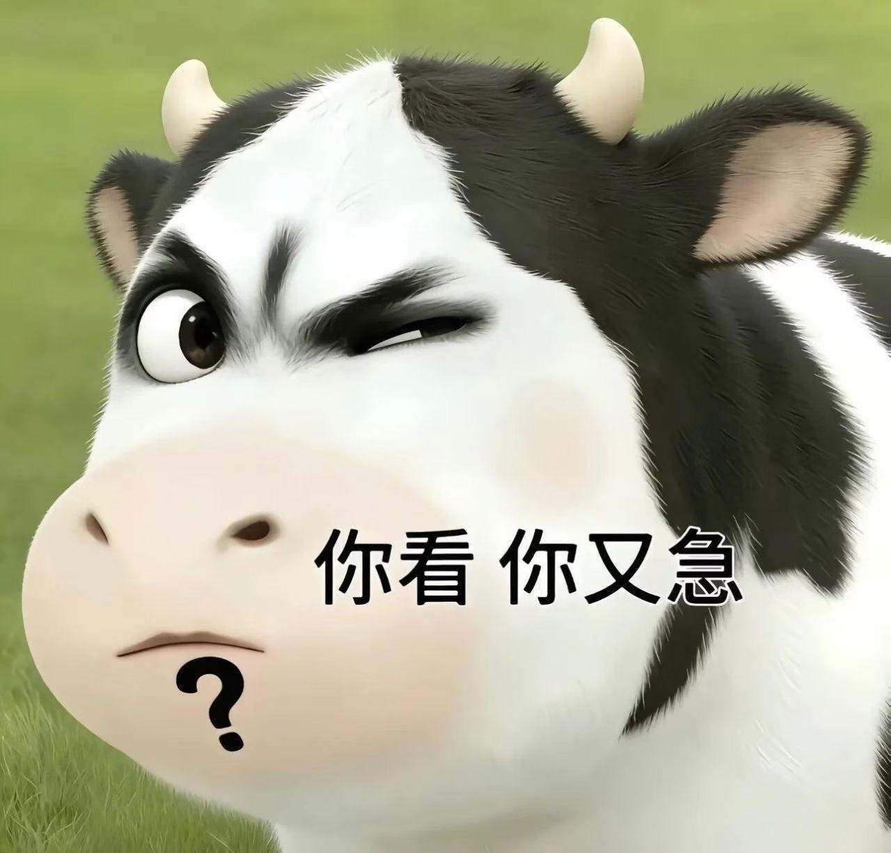 坐高铁可以带宠物了！
 
近日中铁快运官宣高铁宠物托运服务迎来重磅升级，新增“携