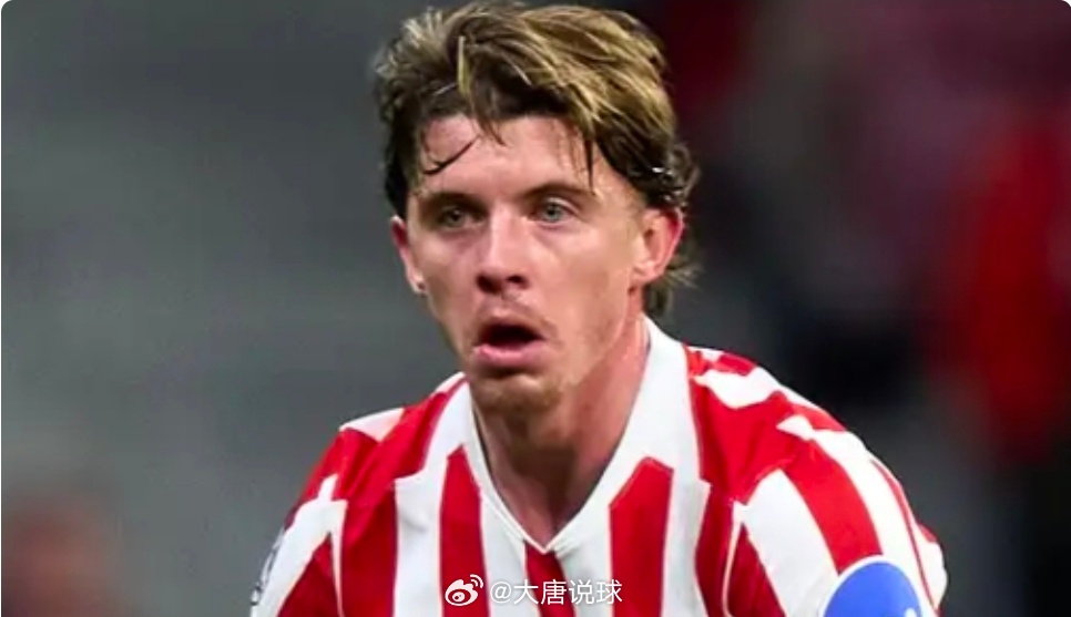 热刺官宣加拉格尔加盟 转会费为4000万欧热刺官方宣布从马德里竞技签下25岁的英