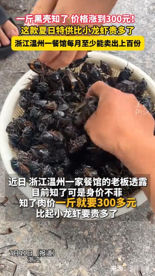 “这下赚大了！”2025年7月，浙江，一餐馆的知了成了热门菜，一斤黑壳知了更是涨