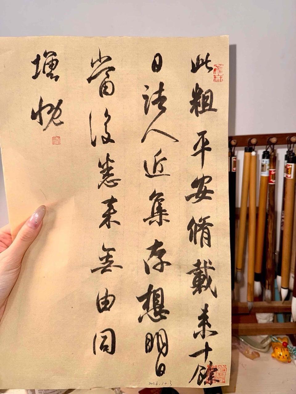 小姐姐的返图，东坡雅风。