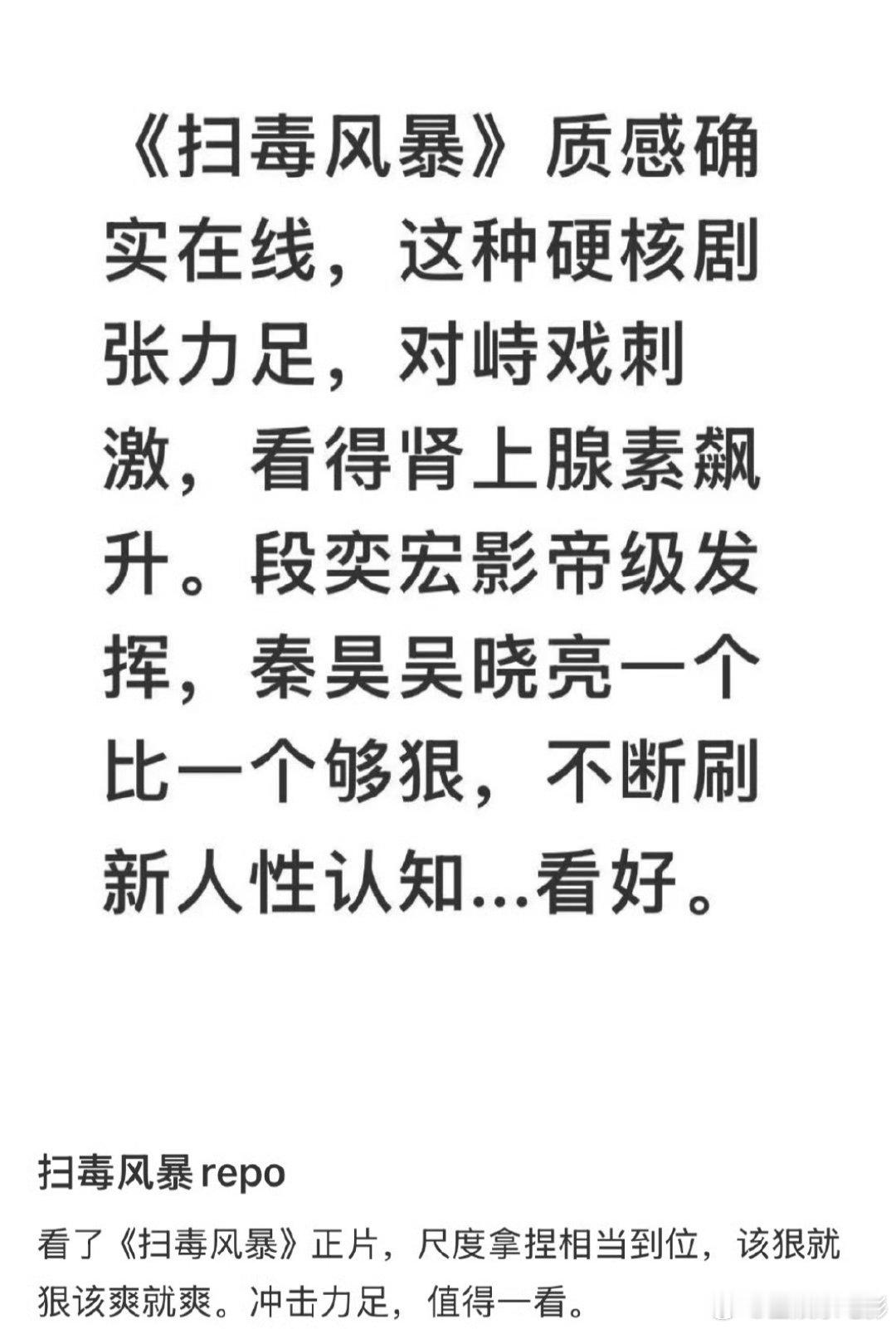 扫毒风暴repo段奕宏秦昊新剧repo这种硬核剧张力足，对峙戏刺激，看得肾上腺素