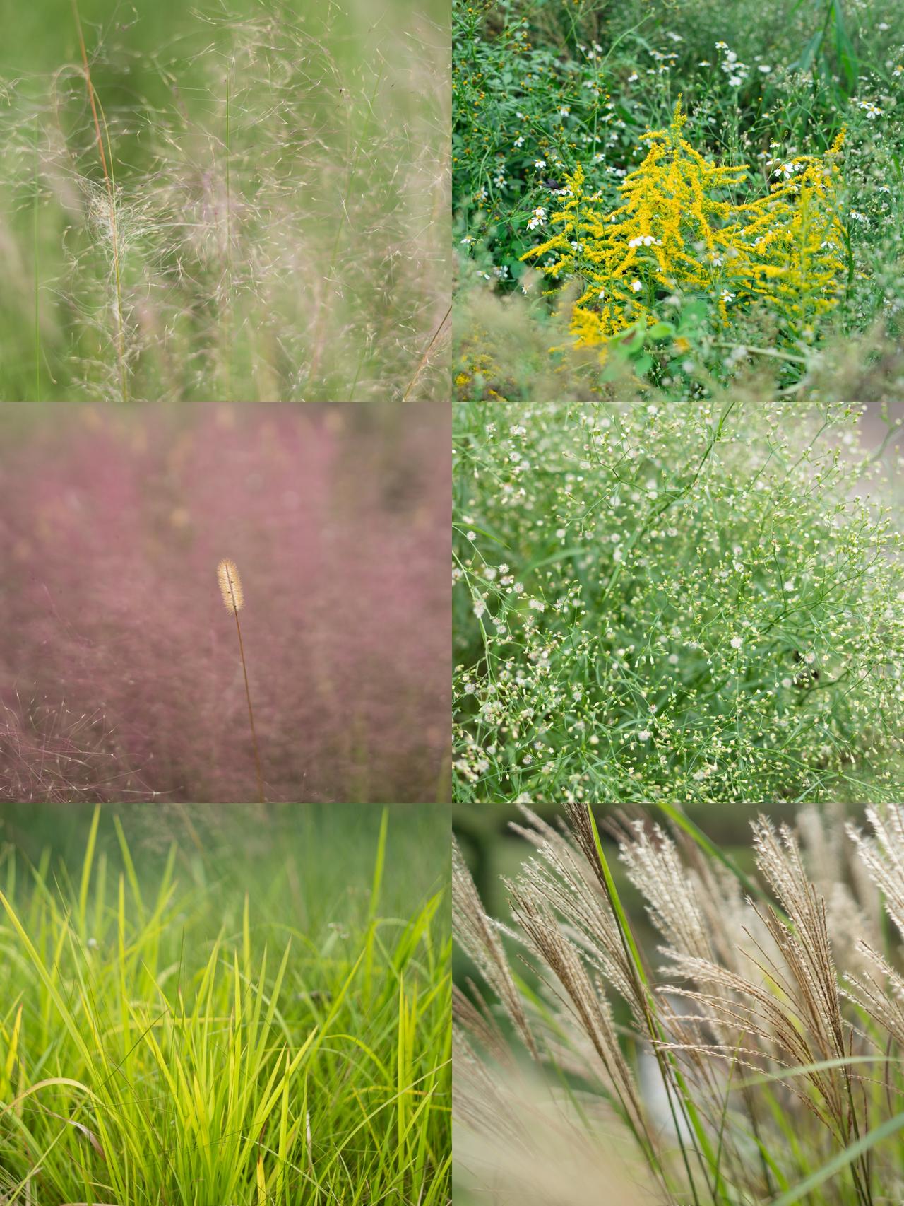 感觉今日头条现在也开始和微博一样给你硬塞粉丝了。我最近一点阅读量都没有，竟然每天
