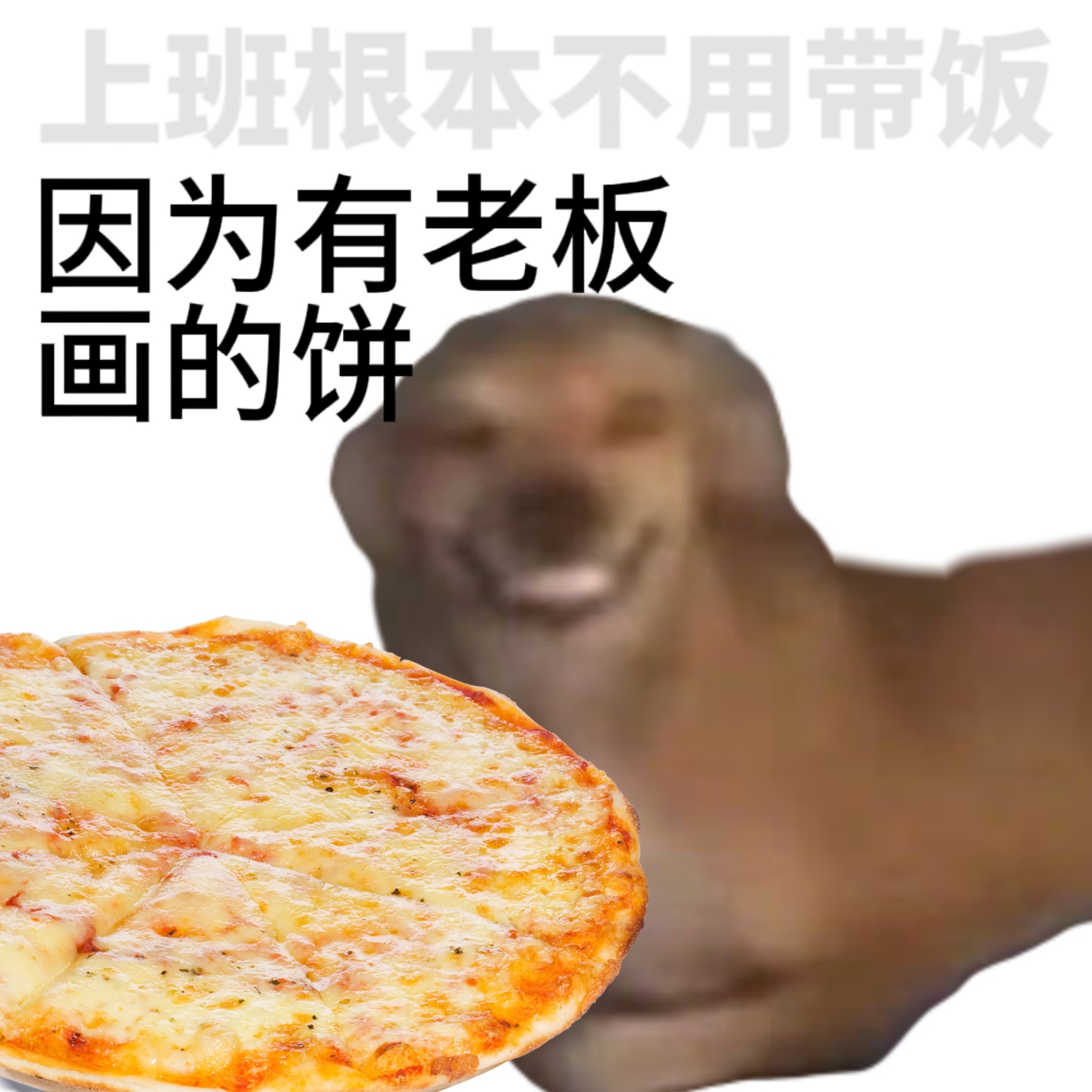 上班根本不用带饭，因为： ​​​