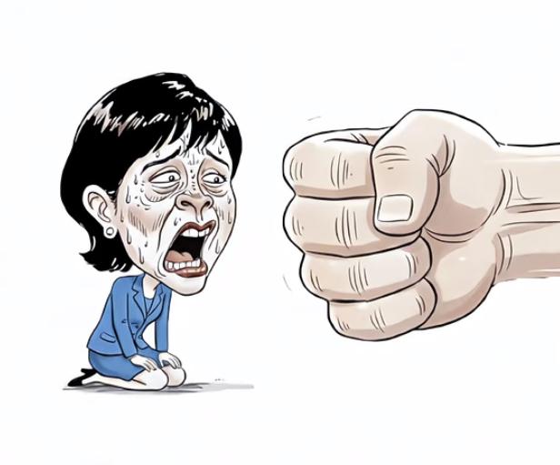 日本：和你做朋友？没门儿！李在明12月3日表示“希望通过斡旋中日关系，实现和谐共