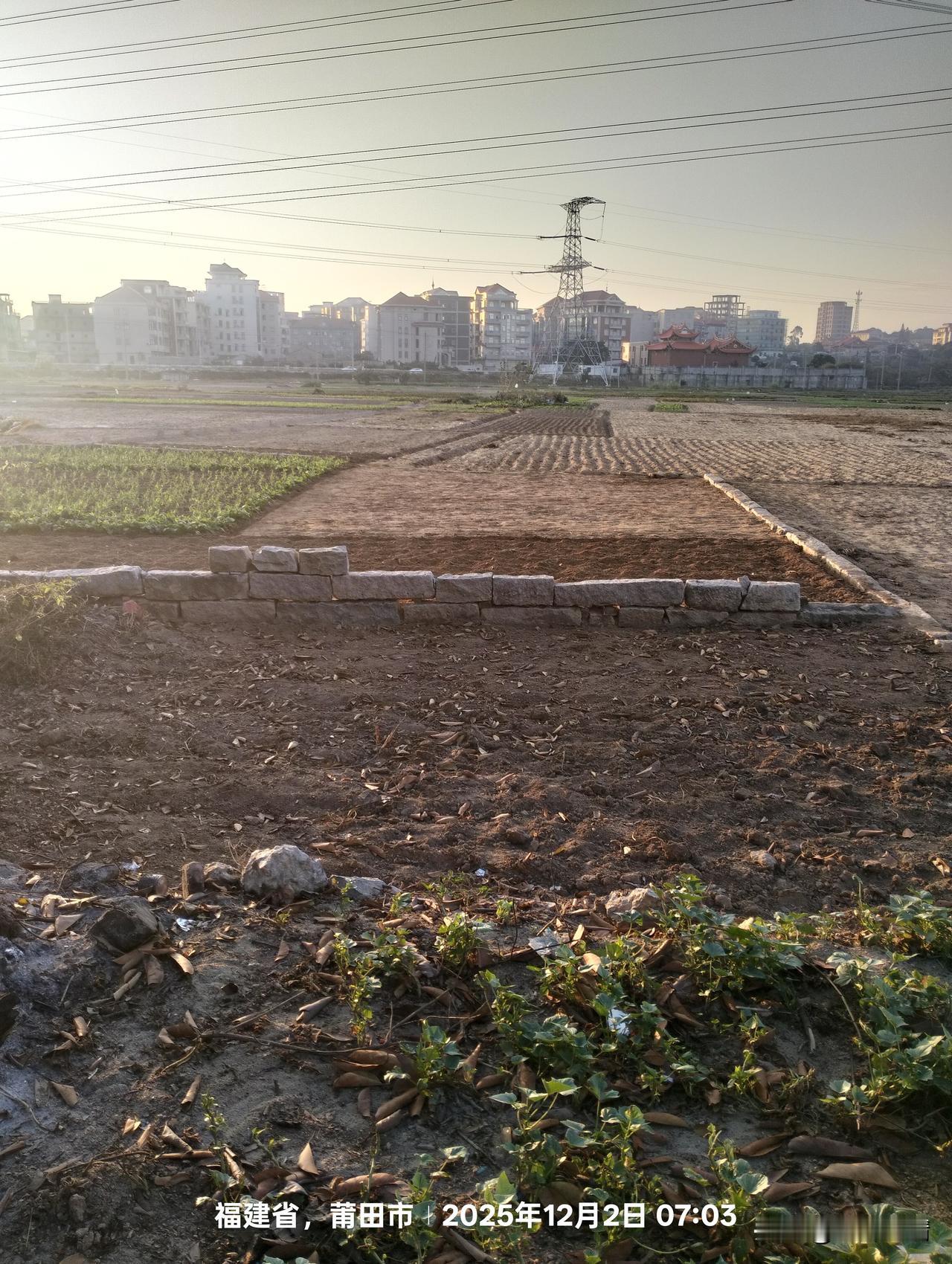 大爷大妈们对于种地都是有很大的热情，

每天都有大妈骑着电动三轮车，

前往自己