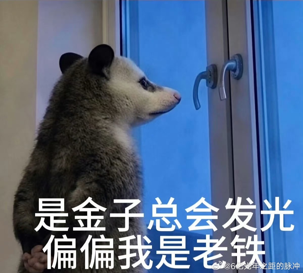 沙雕日常