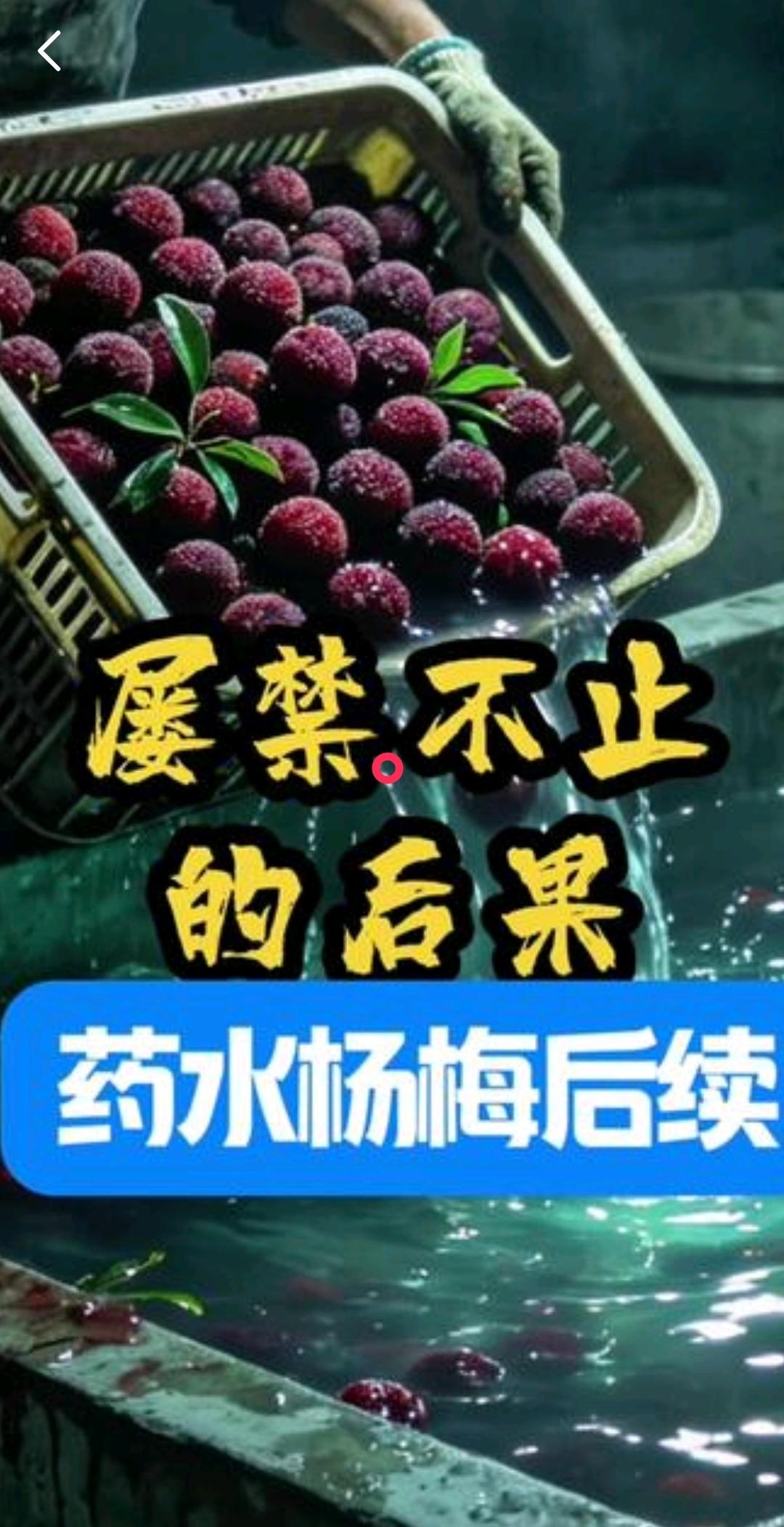 同一批杨梅，新鲜合格的飞往欧洲，泡药的发往全国，请问一下，这是为什么呢？ ​
