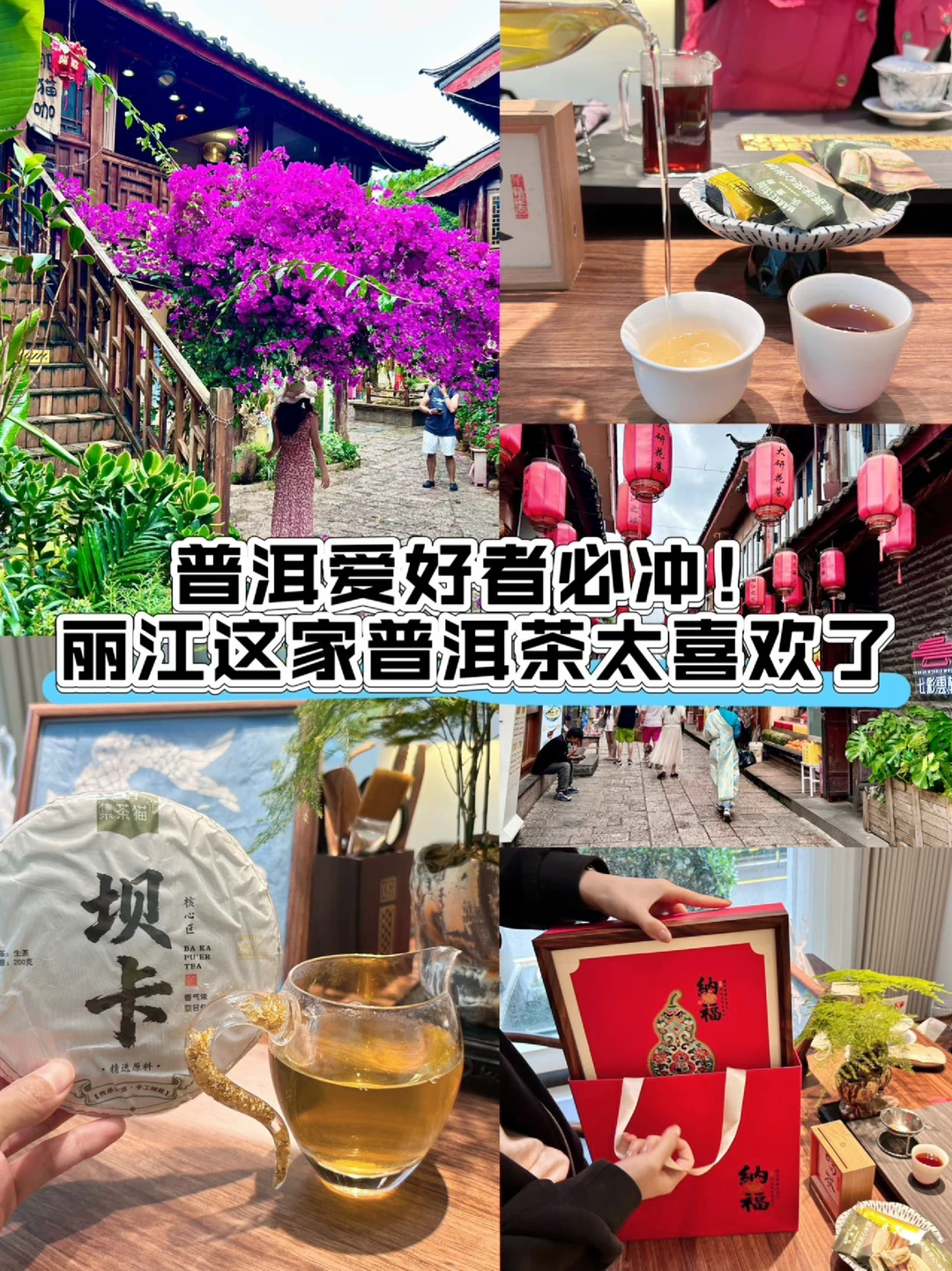普洱爱好者必冲！丽江这家普洱茶太喜欢了
