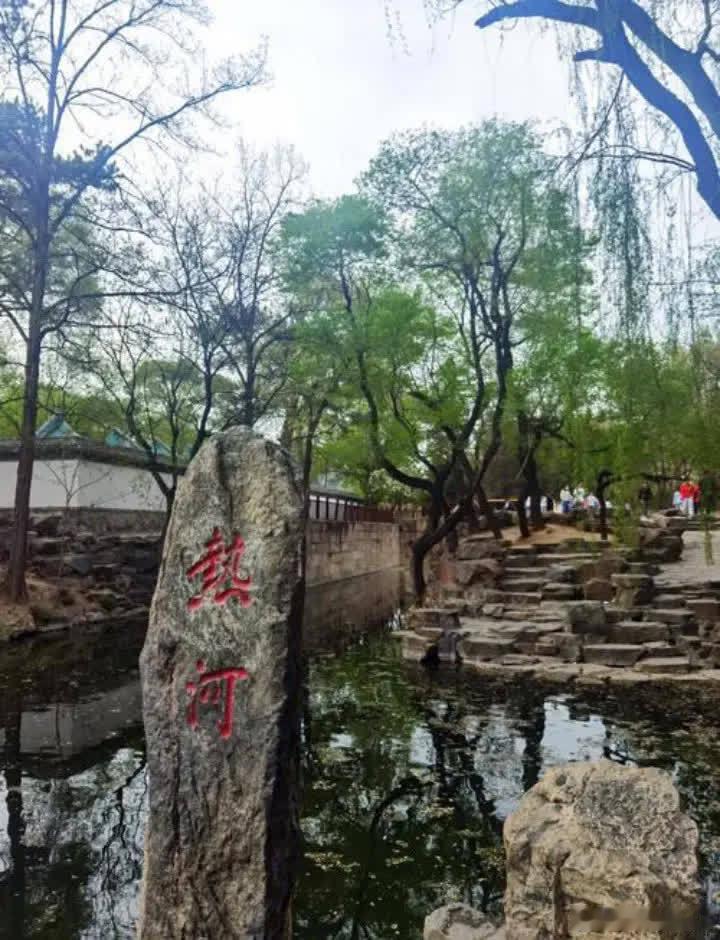 当年，王菲和窦唯离婚后，喜欢抽烟喝酒打麻将，但手气一直不怎么好，经常输钱，于是，