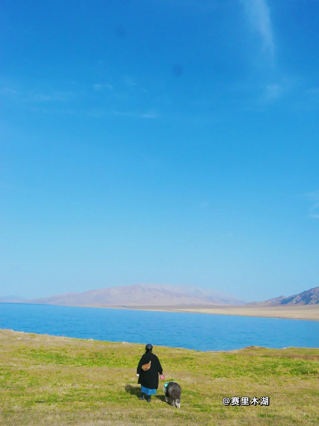 真羡慕我家狗子，8岁拥有这么多狗生照片！